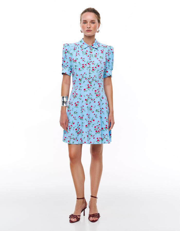 Oleksandra dress