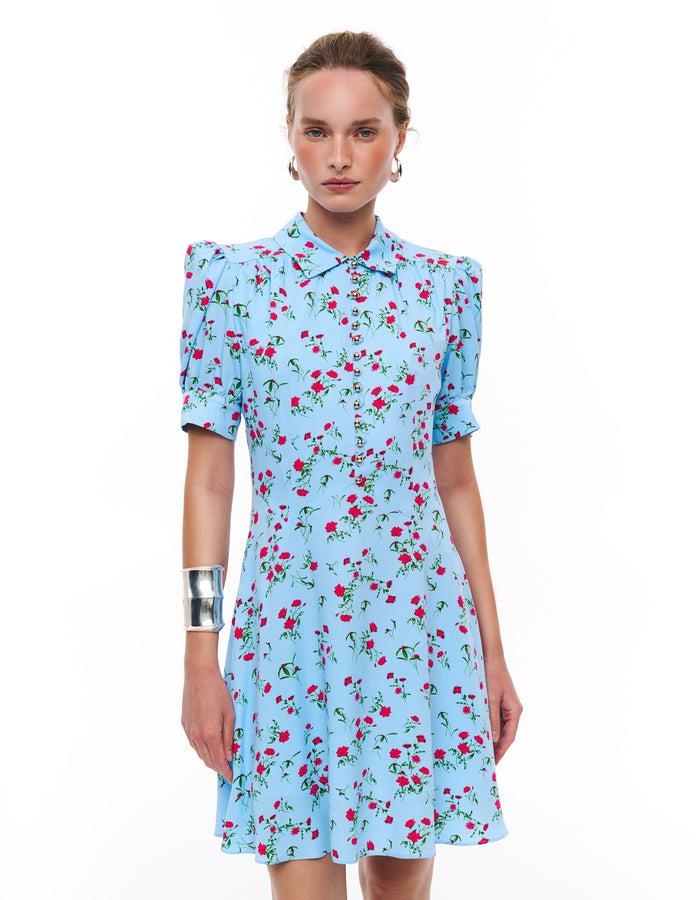 Oleksandra dress