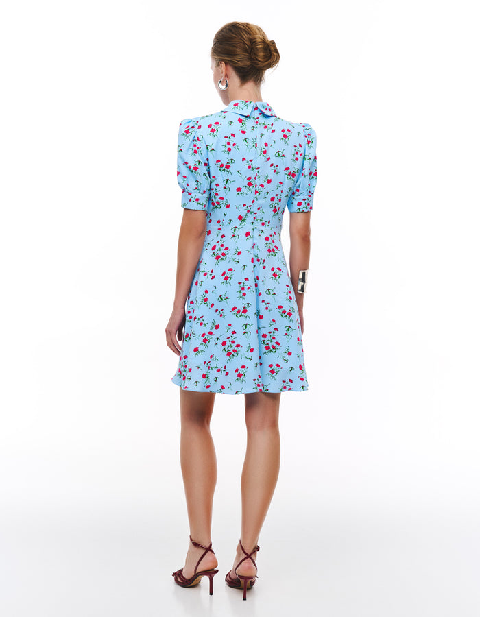 Oleksandra dress