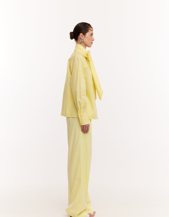 Kate palazzo pants